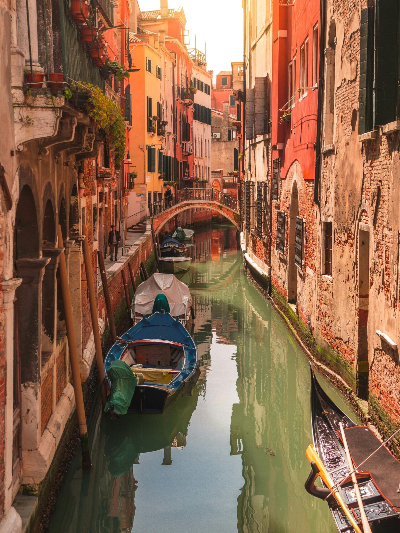 robin-g-B3xBZqIpkug-unsplash